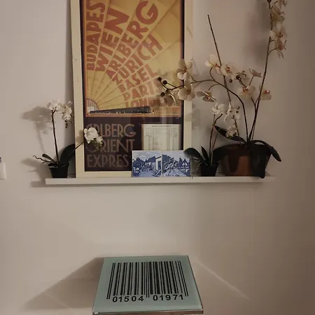 Apartament Benedict Center Funchal (Madeira)