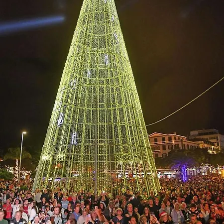 Benedict Center Apartman *