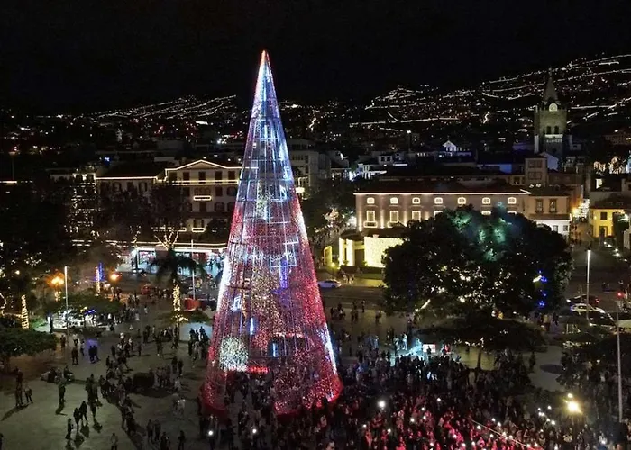 Benedict Center 公寓 丰沙尔